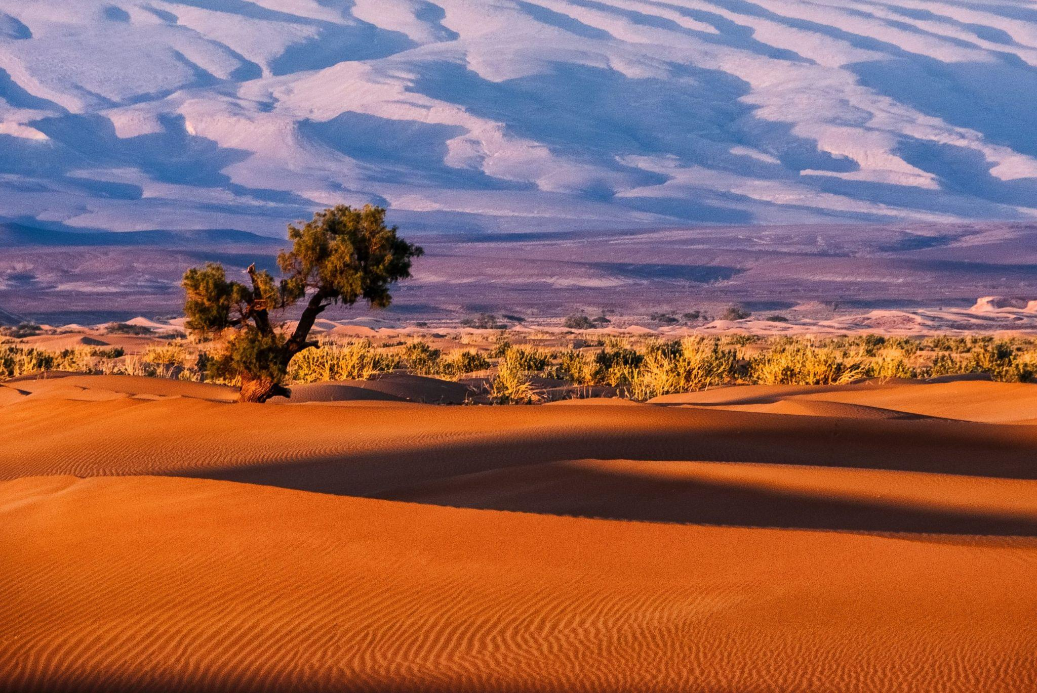 DUNES