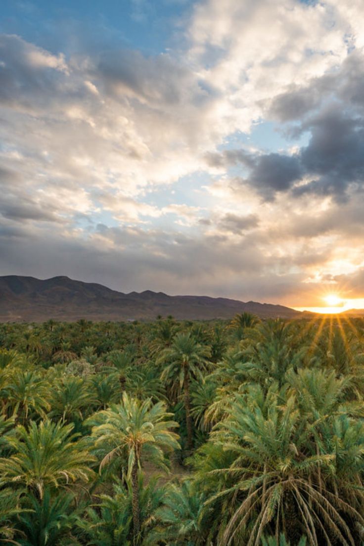 Draa Valley
